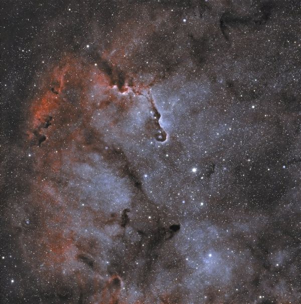 Elephant's Trunk - Astrophotography