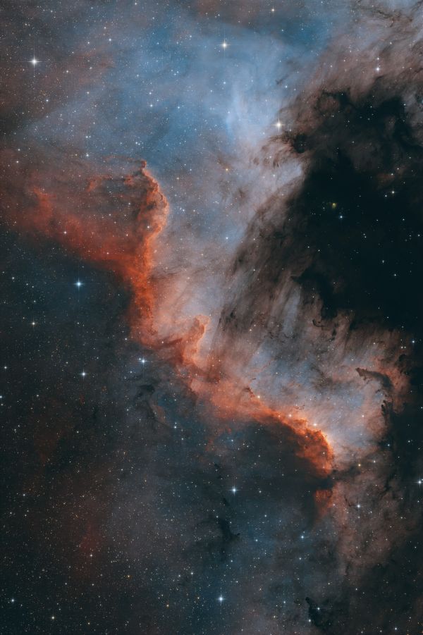 Cygnus Wall - Astrophotography