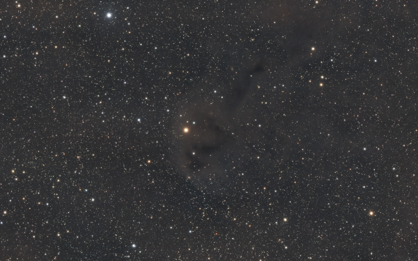 Anglerfish Nebula (LBN 558) - Astrophotography