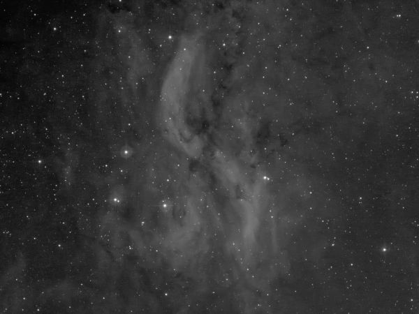 DWB 111 in Ha (Propeller) - Astrophotography