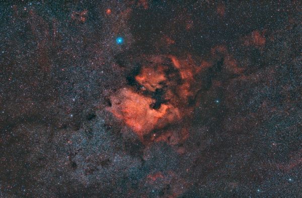 NGC 7000, IC5070 (North America and Pelican) - Astrophotography