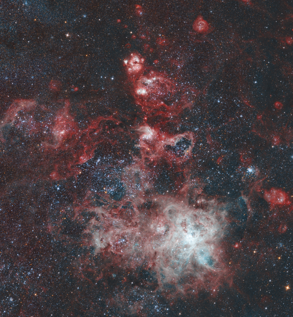 The Tarantula Nebula, HOO - Astrophotography