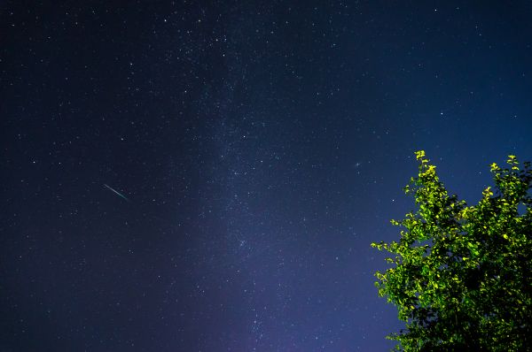 Perseids and the Milky Way 2020 - Astrophotography