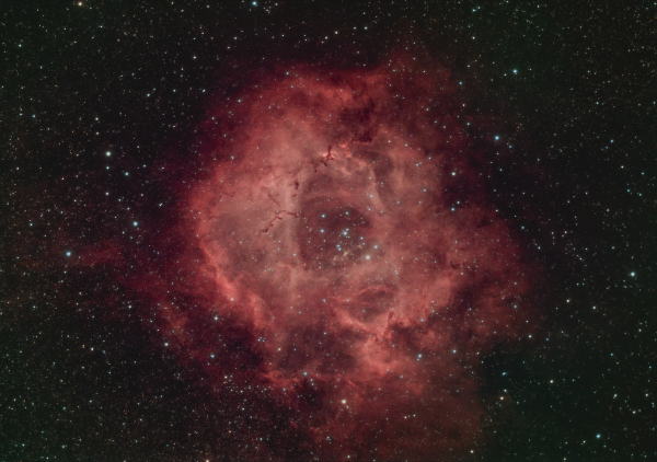 NGC 2237 Rosette Nebula - Astrophotography
