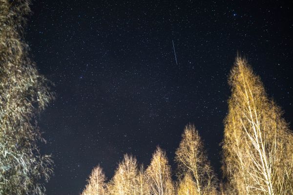 Night Sky - Astrophotography