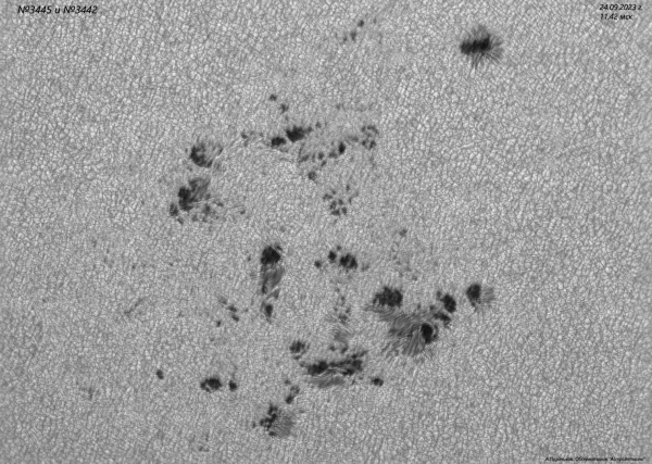 Sunspot groups No. 3445 and No. 3442 on September 24, 2023. - Astrophotography