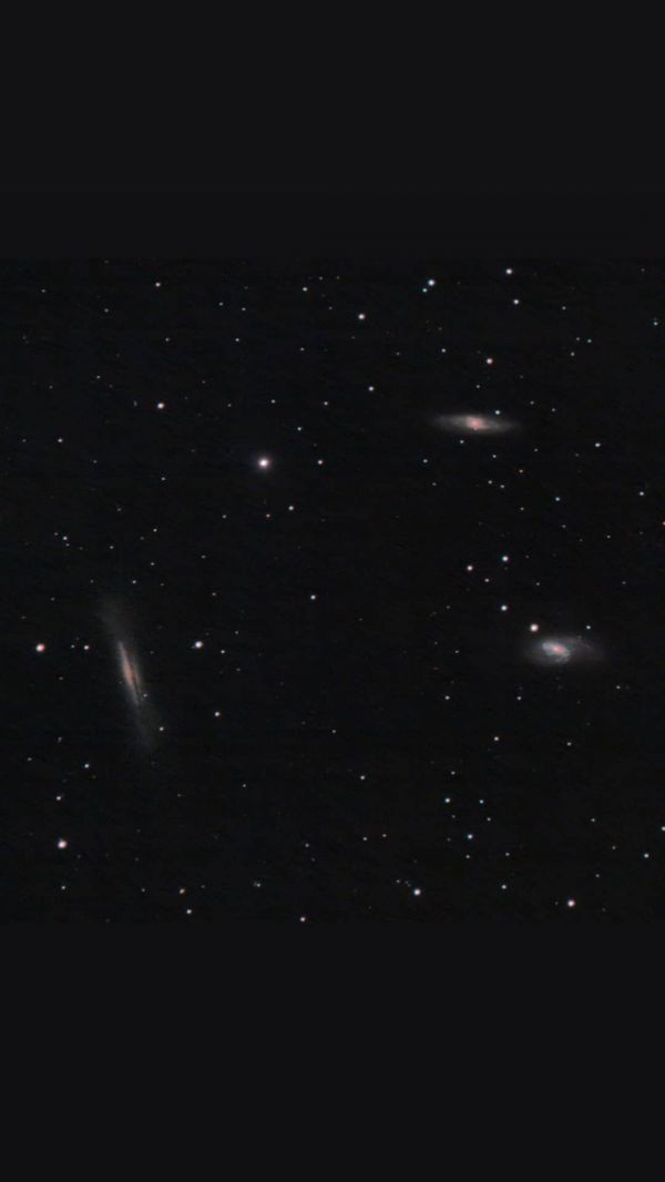 Leo Triplet - Astrophotography