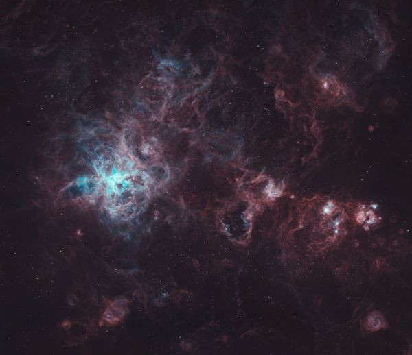 NGC 2070 Tarantula HSO - Astrophotography