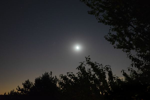 Night Quartet - Astrophotography
