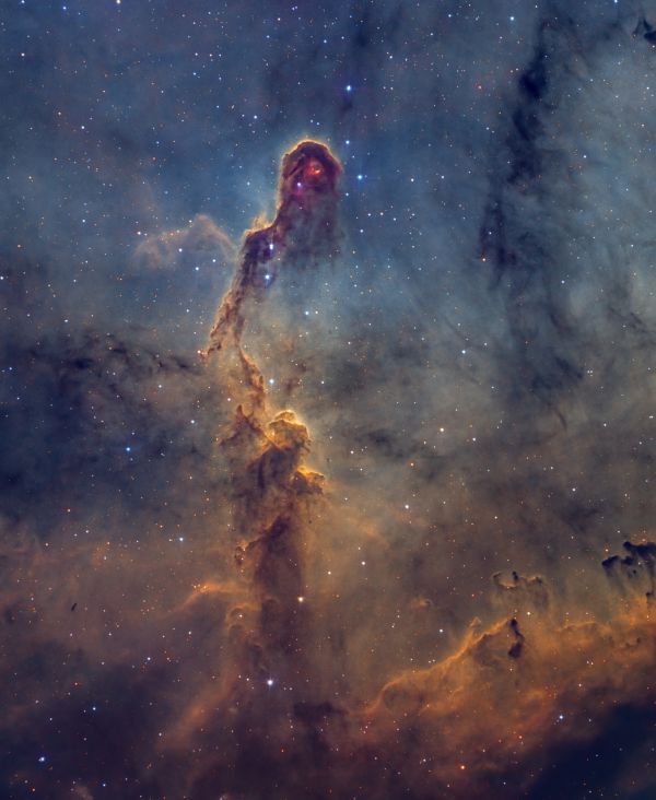 Elephant's Trunk Nebula. IC 1396, Elephant's Trunk nebula - Astrophotography