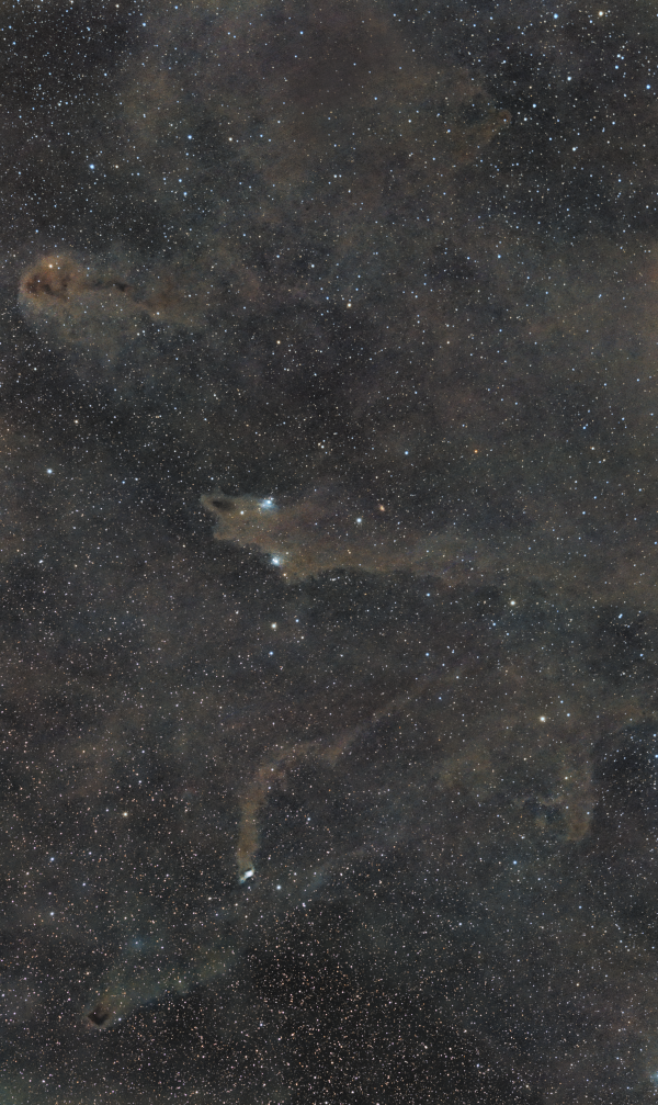 LDN 1235 - Astrophotography