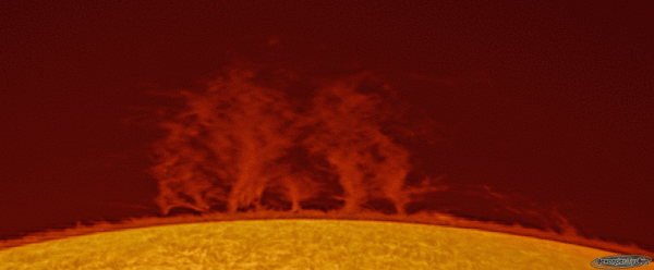 Prominence - Astrophotography