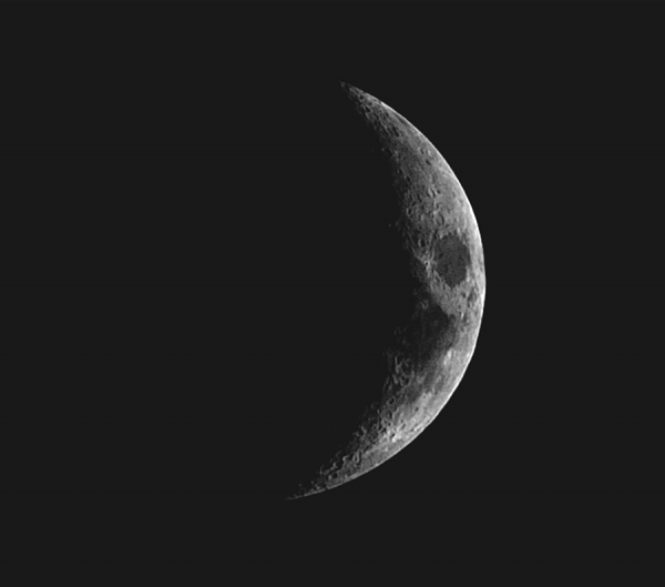 The Moon - Astrophotography