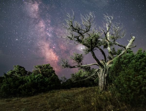 Milky Way - Astrophotography