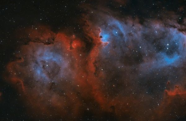 IC1848 