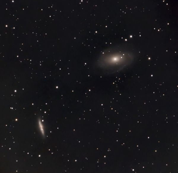 M 81 (NGC 3031) + M 82 (NGC 3034) - Astrophotography
