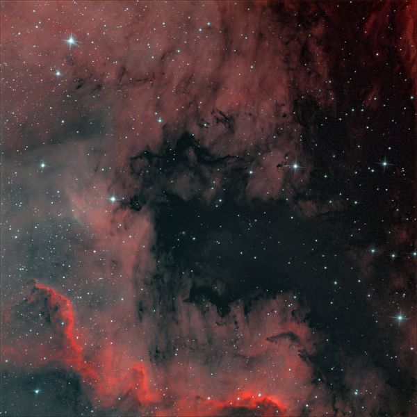 NGC 7000 (LBN 373, the North America Nebula) - Astrophotography