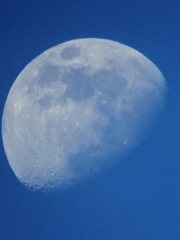 The Moon in the daytime sky - Astrophotography