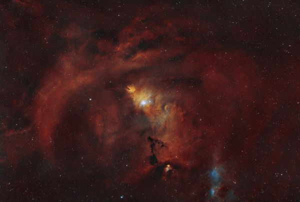 NGC 2264 Christmas Tree Cluster - Astrophotography