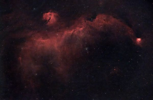 NGC 2335 Seagull - Astrophotography