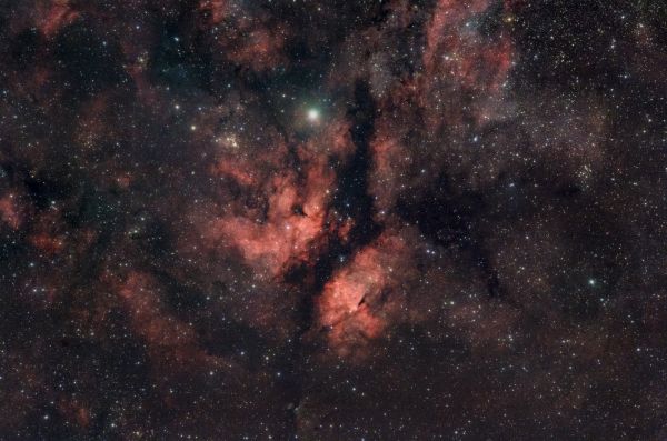 IC 1318 - Astrophotography