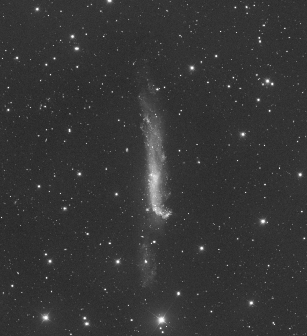 NGC 4656 - Astrophotography
