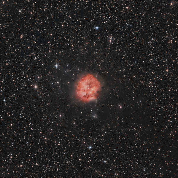 C19 - Cocoon Nebula - Astrophotography