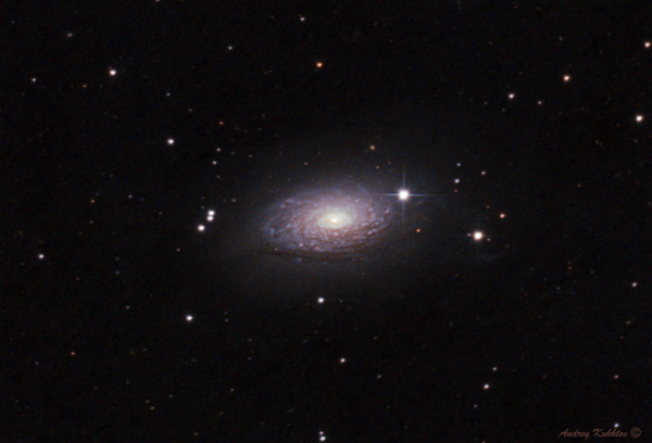 Sunflower Galaxy (M63) 03/06/2024 - Astrophotography