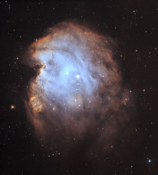 Monkey Head - Astrophotography