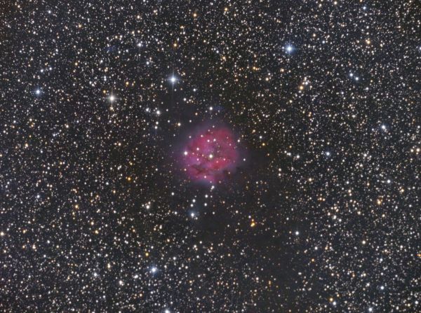 IC 5146 Cocoon - Astrophotography