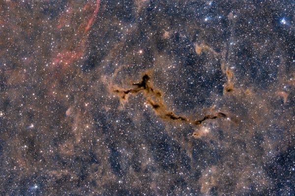 Seahorse Nebula - Astrophotography