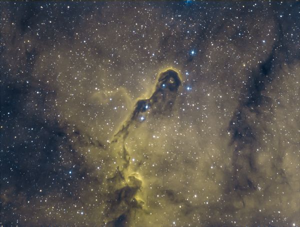 IC 1396, Elephant Trunk nebula - Astrophotography