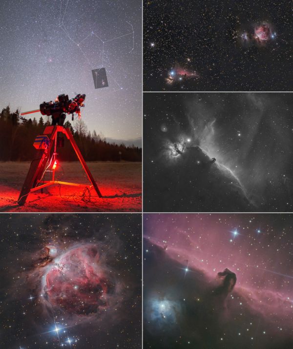 Orion (collage of my photos) - Astrophotography
