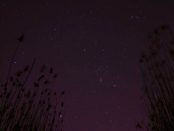 Achievement: You have unlocked the plum blossom. - Astrophotography