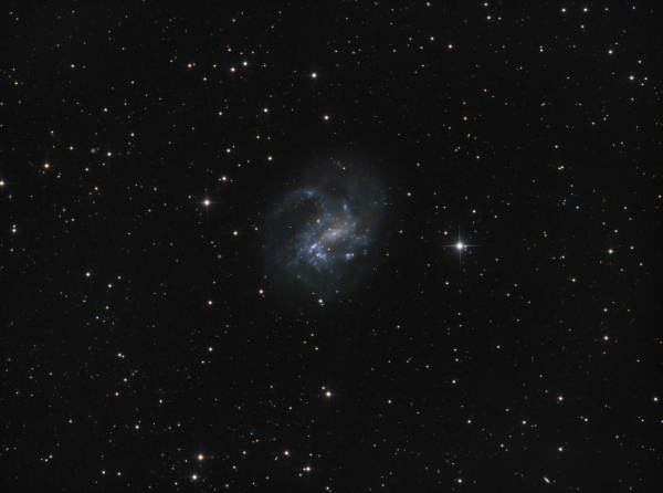 NGC4395/PGC40596 (Galaxy) in CVn LRGB - Astrophotography