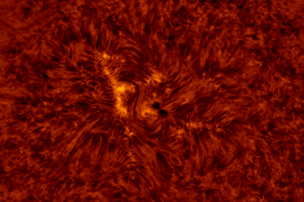 2020.08.10 Sun AR12770 H-Alpha (color) - Astrophotography
