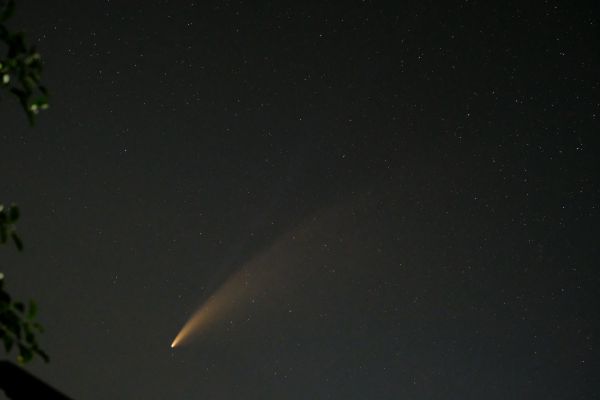 Comet C/2020 F3 - Astrophotography