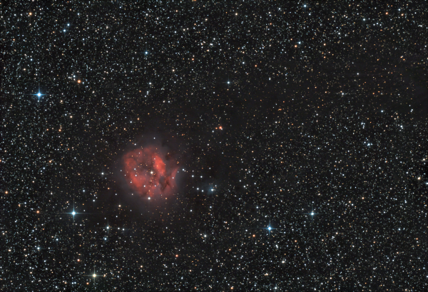 IC 5146. The Cocoon Nebula. - Astrophotography