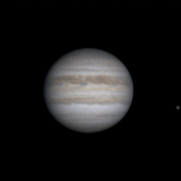 Animation of Jupiter's rotation - the moons Io and Ganymede are visible. - Astrophotography