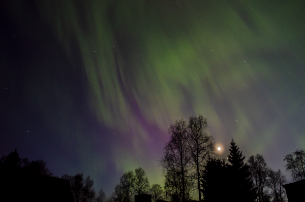 10. Northern Lights, April 23, 2023 - Astrophotography