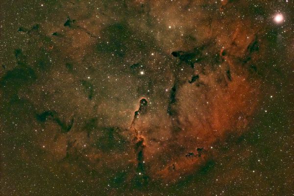 IC 1396 Nebulosa Proboscide d'Elefante (Trunk Nebula) - Astrophotography