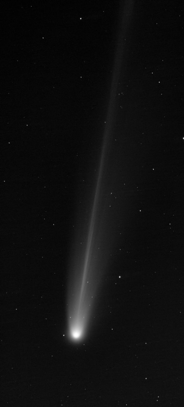 C/2025 A6 (Lemmon) - Astrophotography