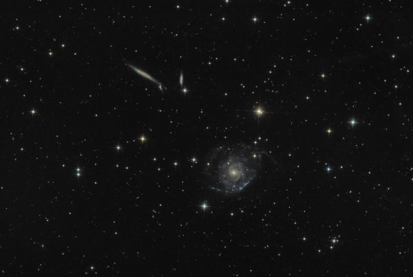 Holmberg 124 galaxy group (NGC 2805) - Astrophotography