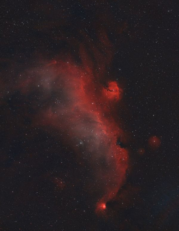 The Seagull Nebula - Astrophotography