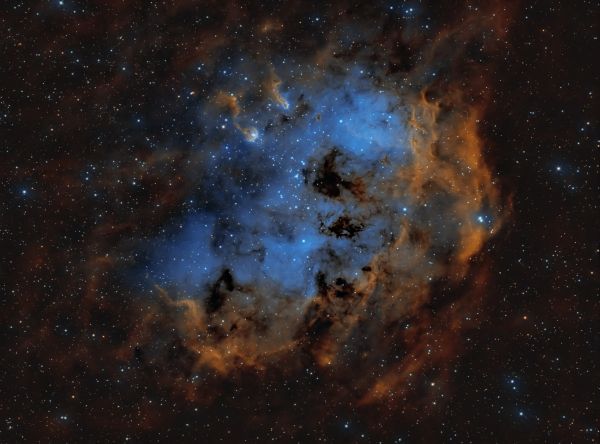NGC 1893 Tadpoles - Astrophotography