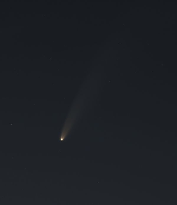 C2020 F3 (NEOWISE) - Astrophotography