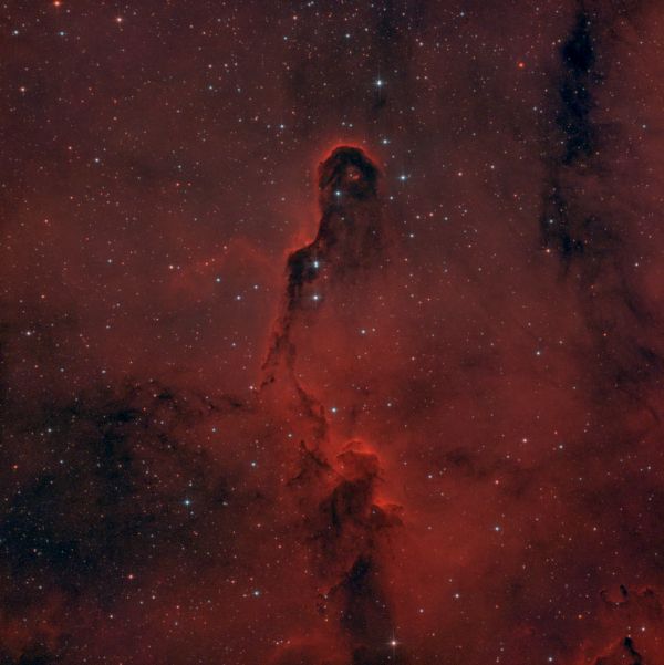 IC 1396 - Elephant's Trunk - Astrophotography