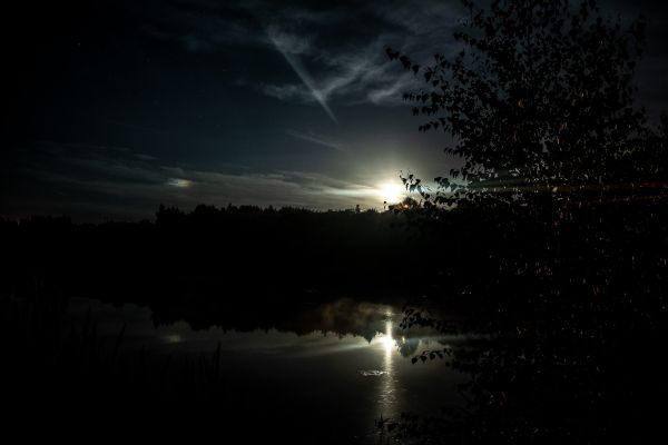 Moonlit path - Astrophotography