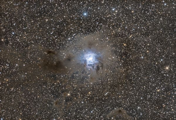 Iris nebula  ngc7032 - Astrophotography