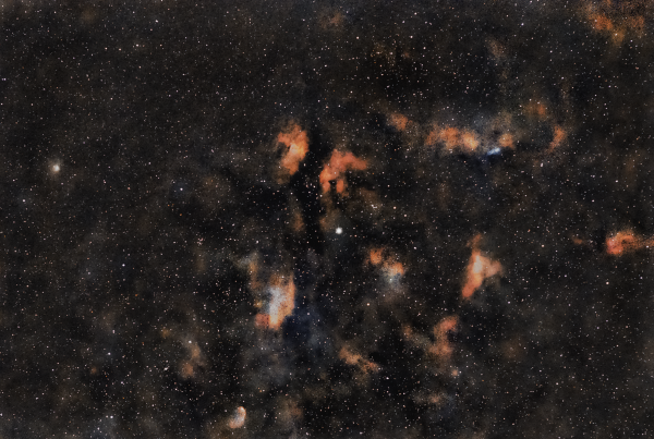 Ic 1318 - Astrophotography